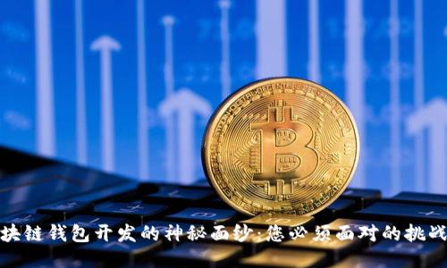 揭开区块链钱包开发的神秘面纱:您必须面对的挑战与机遇