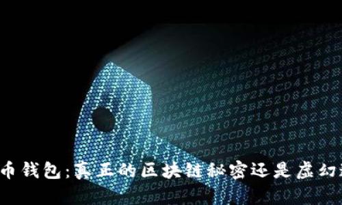 比特币钱包:真正的区块链秘密还是虚幻迷雾?