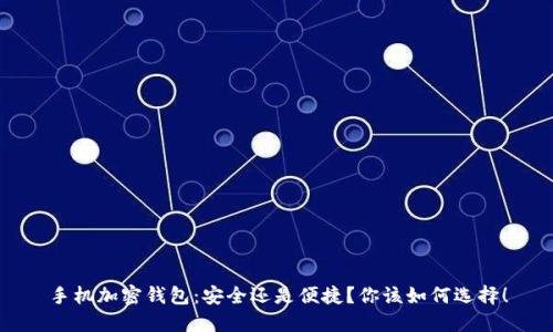 手机加密钱包:安全还是便捷?你该如何选择!