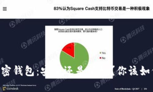 手机加密钱包:安全还是便捷?你该如何选择!