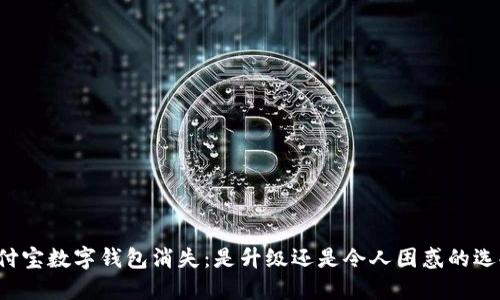 支付宝数字钱包消失：是升级还是令人困惑的选择？