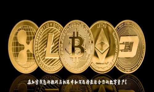 在加密钱包的挑战与机遇中如何选择最适合你的数字资产？