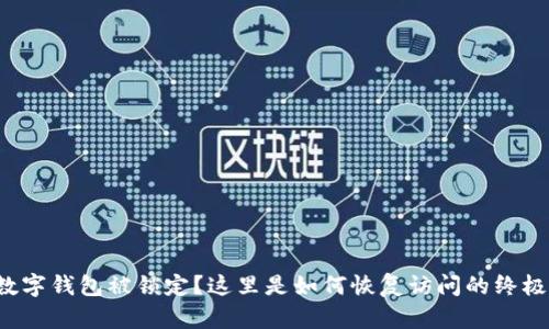 你的数字钱包被锁定?这里是如何恢复访问的终极指南!