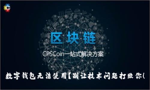 数字钱包无法使用?别让技术问题打败你!