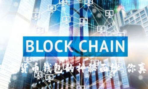 揭开哈希世界数字货币钱包的神秘面纱：你真的准备好了吗？