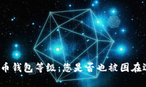 揭秘数字人民币钱包等级:您是否也被困在选择的迷雾中?