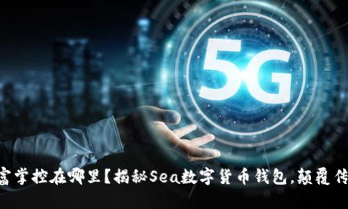 “你的数字财富掌控在哪里？揭秘Sea数字货币钱包，颠覆传统财富管理！”