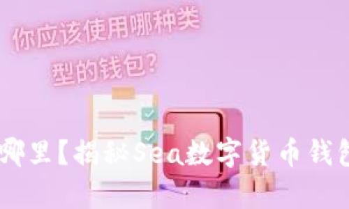 “你的数字财富掌控在哪里？揭秘Sea数字货币钱包，颠覆传统财富管理！”