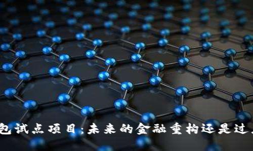 数字钱包试点项目：未来的金融重构还是过度追逐？
