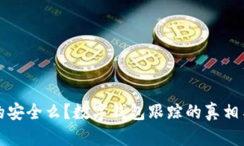 你的钱真的安全么？数字钱包跟踪的真相与风险挑战