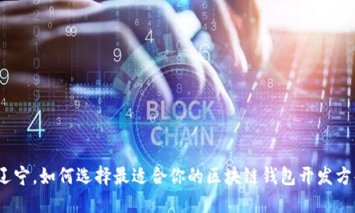 在辽宁,如何选择最适合你的区块链钱包开发方案?