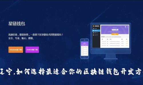在辽宁,如何选择最适合你的区块链钱包开发方案?