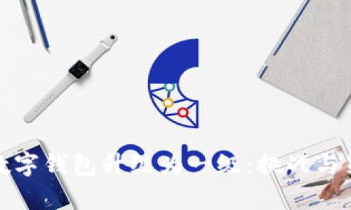 让你的数字钱包升级为一级：挑战与策略并存