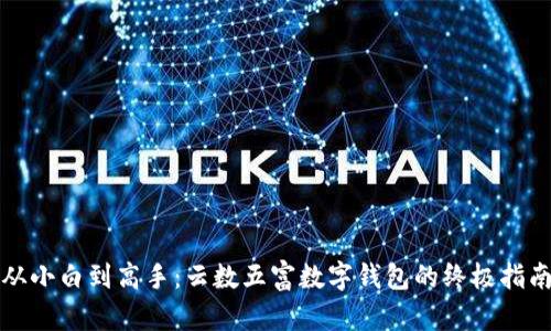 从小白到高手：云数五富数字钱包的终极指南