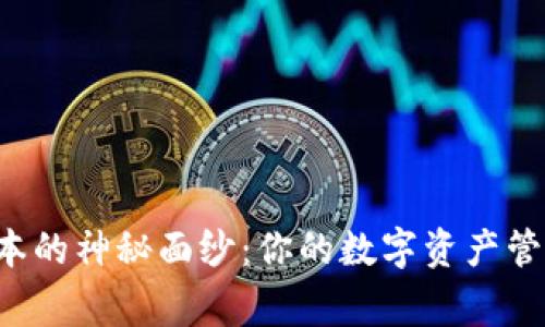 揭开TP钱包2024最新版本的神秘面纱：你的数字资产管家，还是潜在的风险陷阱？