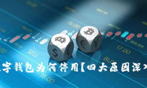 你的数字钱包为何停用？四大原因深入解析！