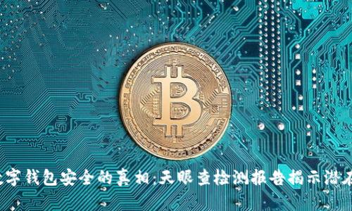 探索数字钱包安全的真相：天眼查检测报告揭示潜在风险！