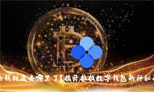 你的钱到底去哪里了？揭开拉拉数字钱包的神秘面纱