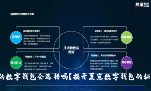 你的数字钱包会选错吗？揭开夏崽数字钱包的秘密！