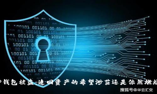 TP钱包被盗：追回资产的希望渺茫还是依然燃烧？
