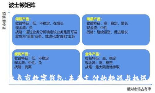 青岛市数字钱包:未来支付的挑战与机遇