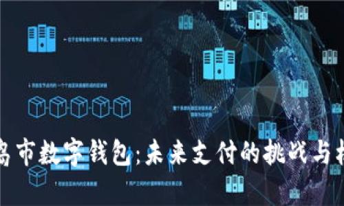 青岛市数字钱包:未来支付的挑战与机遇