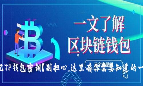 忘记TP钱包密钥?别担心,这里有你需要知道的一切!