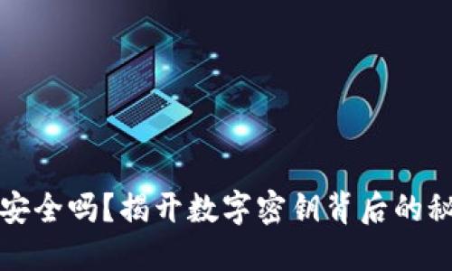 你的钱包安全吗?揭开数字密钥背后的秘密与挑战