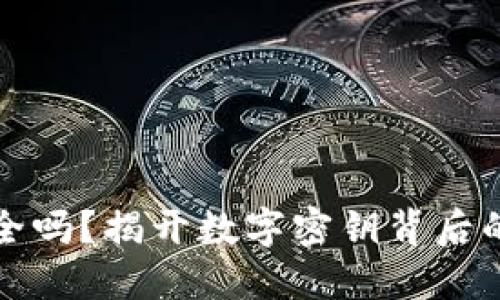 你的钱包安全吗?揭开数字密钥背后的秘密与挑战