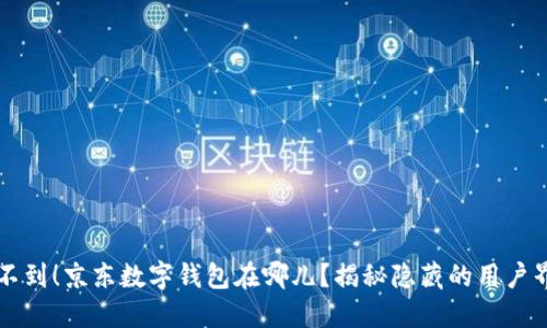 找不到!京东数字钱包在哪儿?揭秘隐藏的用户界面