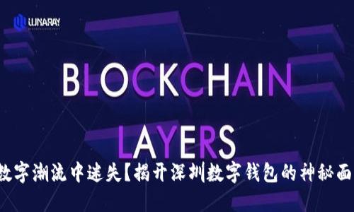 在数字潮流中迷失?揭开深圳数字钱包的神秘面纱!