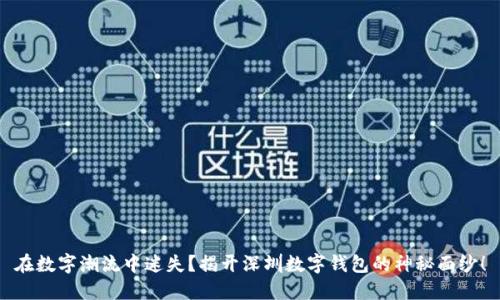 在数字潮流中迷失?揭开深圳数字钱包的神秘面纱!