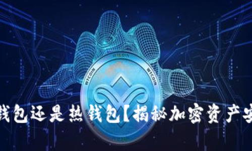 TP钱包:冷钱包还是热钱包?揭秘加密资产安全的真相!