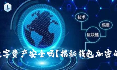 你的数字资产安全吗？揭秘钱包加密的秘密！