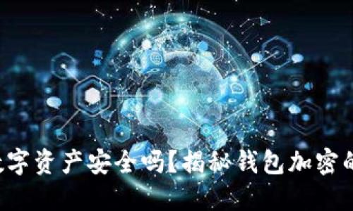 你的数字资产安全吗？揭秘钱包加密的秘密！