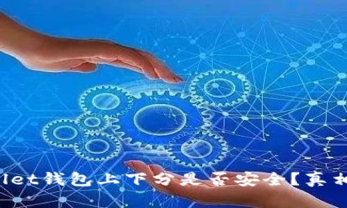 TPWallet钱包上下分是否安全?真相揭晓!