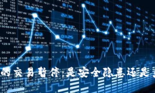 数字钱包的交易暂停:是安全隐患还是系统升级?
