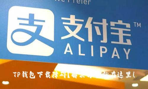 TP钱包下载障碍?解决方案就在这里!