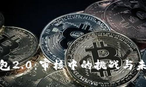 数字钱包2.0:审核中的挑战与未来机遇