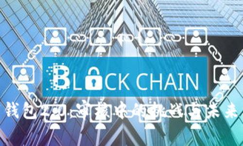 数字钱包2.0:审核中的挑战与未来机遇