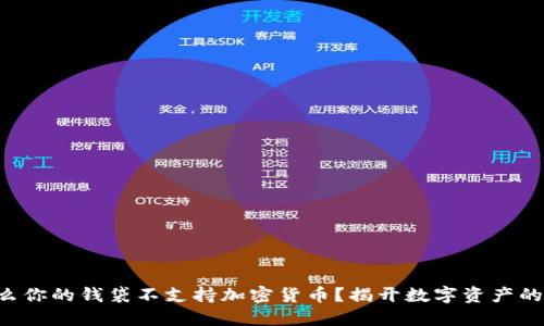 为什么你的钱袋不支持加密货币?揭开数字资产的秘密!