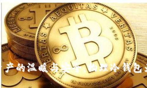 TP钱包:数字资产的温暖与安全,物理冷钱包为何不可或缺?
