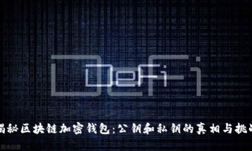 揭秘区块链加密钱包:公钥和私钥的真相与挑战