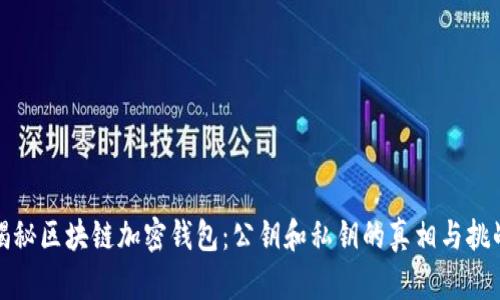揭秘区块链加密钱包:公钥和私钥的真相与挑战