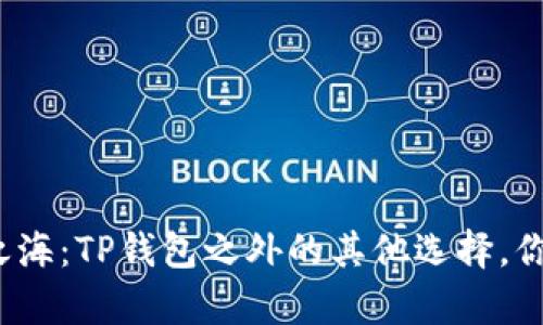 探索区块链之海:TP钱包之外的其他选择,你真的知道吗?