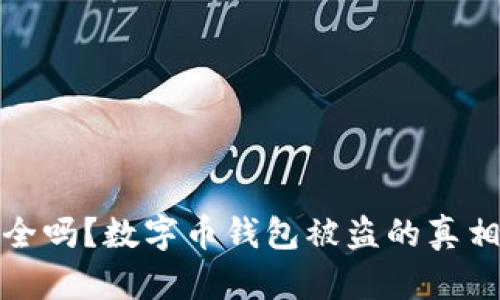 你的钱包安全吗?数字币钱包被盗的真相与应对策略