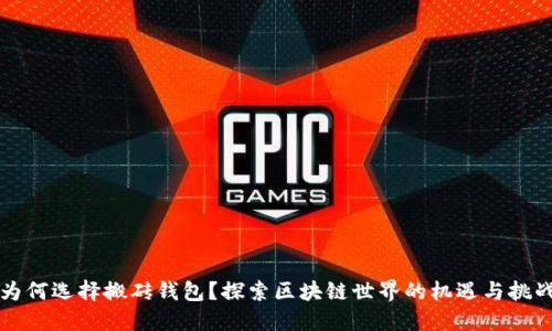 为何选择搬砖钱包?探索区块链世界的机遇与挑战