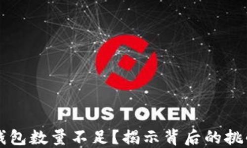 
为什么数字钱包数量不足？揭示背后的挑战与解决方案