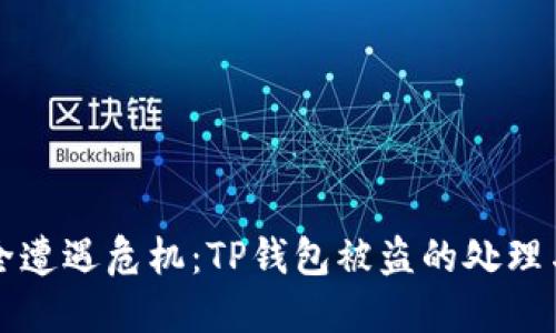 当资产安全遭遇危机:TP钱包被盗的处理与防范之道