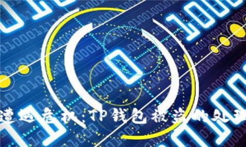 当资产安全遭遇危机:TP钱包被盗的处理与防范之道